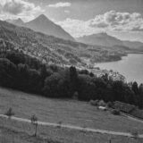 MUNTE CU NIESEN