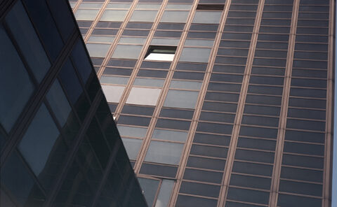 One Living Gesture Before the Mute Geometry