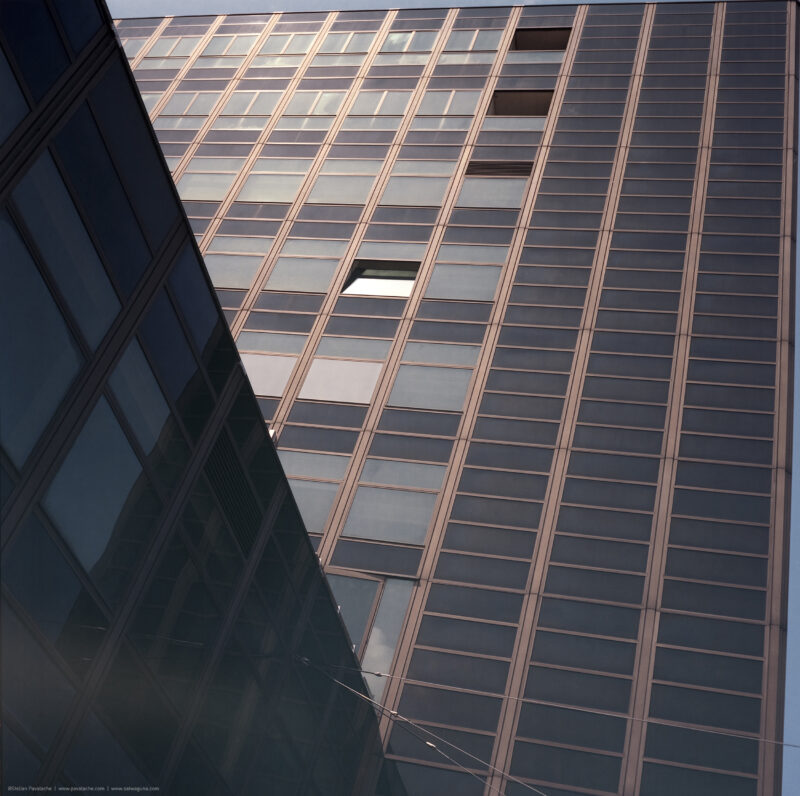 One Living Gesture Before the Mute Geometry