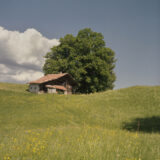 LA MUNTE - CASA SI COPAC-EDIT-ADD-2-FIN